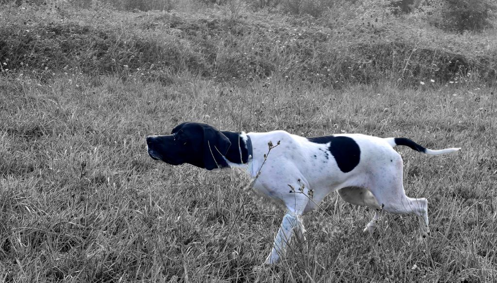 Venus du moulin du tia