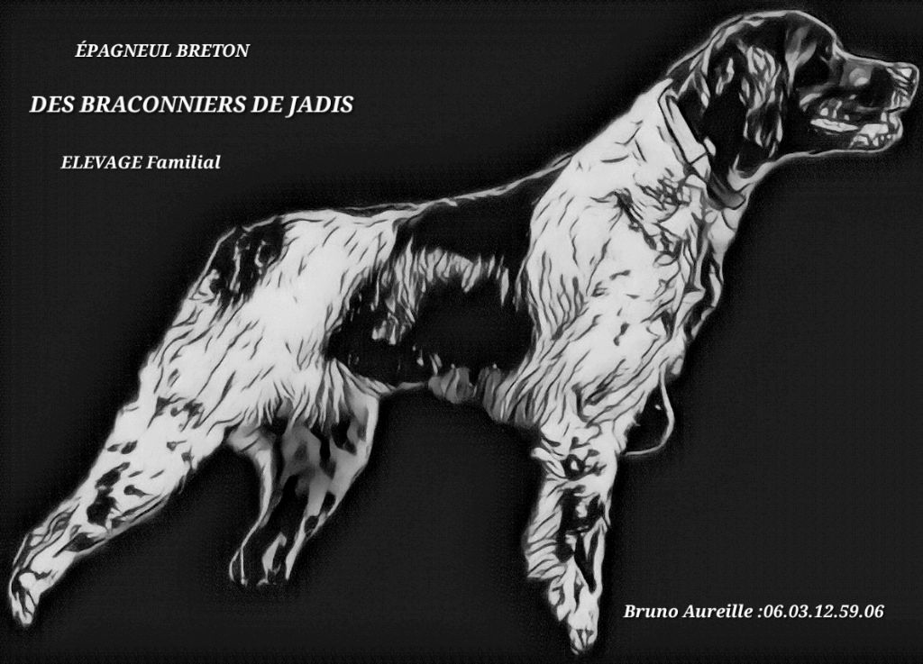 Des Braconniers De Jadis - Des Braconniers De Jadis 